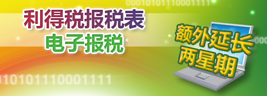 网上报税 利得税报税表
