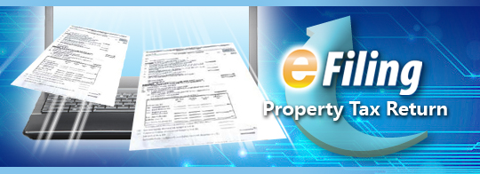 Property Tax Return