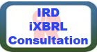 iXBRL